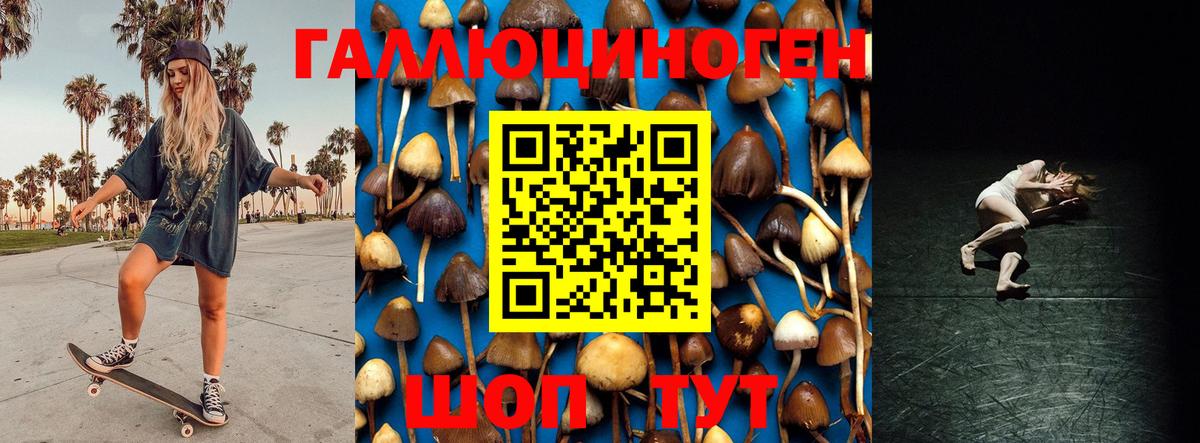 Псилоцибиновые грибы Magic Shrooms  Вход с VPN  купить   Чернушка 